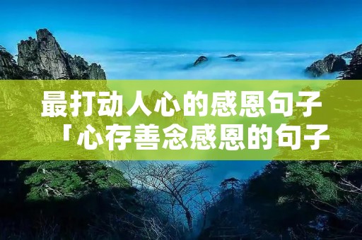 最打动人心的感恩句子「心存善念感恩的句子」