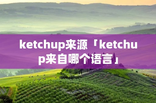 ketchup来源「ketchup来自哪个语言」
