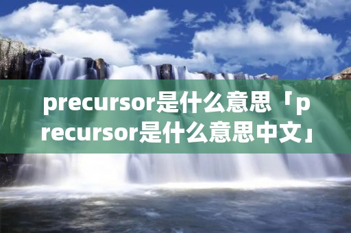 precursor是什么意思「precursor是什么意思中文」