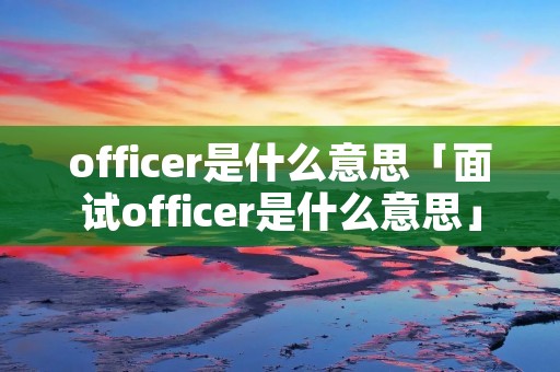 officer是什么意思「面试officer是什么意思」