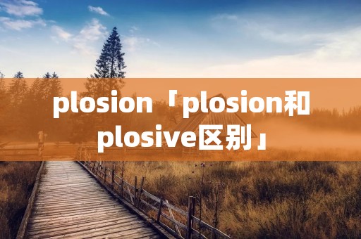 plosion「plosion和plosive区别」