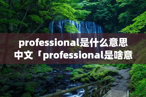 professional是什么意思中文「professional是啥意思」
