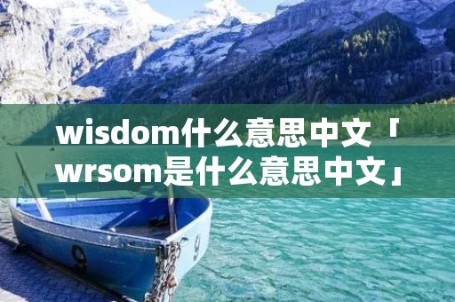 wisdom什么意思中文「wrsom是什么意思中文」