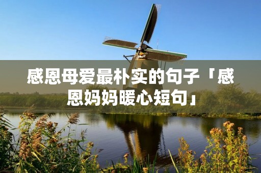 感恩母爱最朴实的句子「感恩妈妈暖心短句」