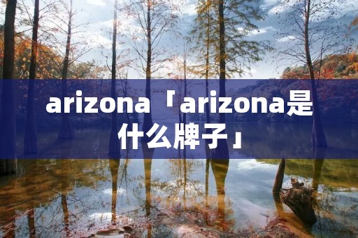 arizona「arizona是什么牌子」