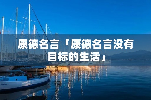 康德名言「康德名言没有目标的生活」