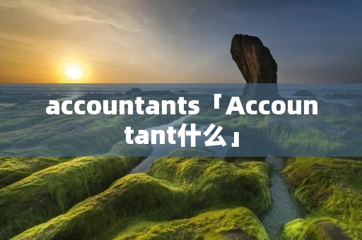 accountants「Accountant什么」 accountants「Accountant什么」