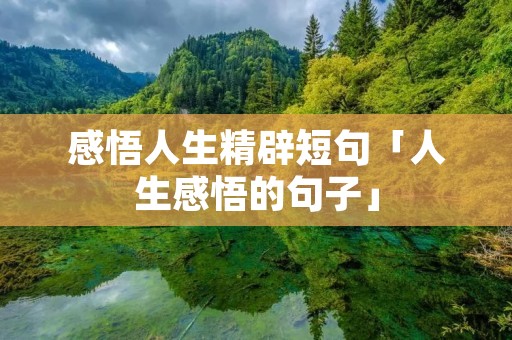 感悟人生精辟短句「人生感悟的句子」