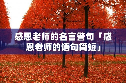 感恩老师的名言警句「感恩老师的语句简短」