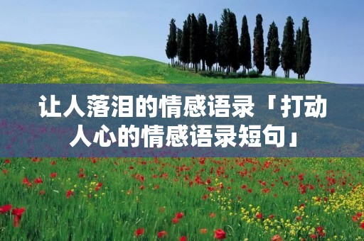 让人落泪的情感语录「打动人心的情感语录短句」