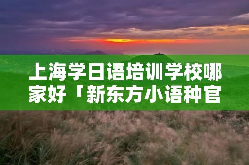 上海学日语培训学校哪家好「新东方小语种官网」