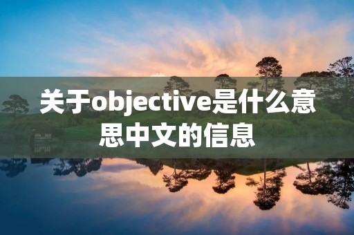 关于objective是什么意思中文的信息 关于objective是什么意思中文的信息