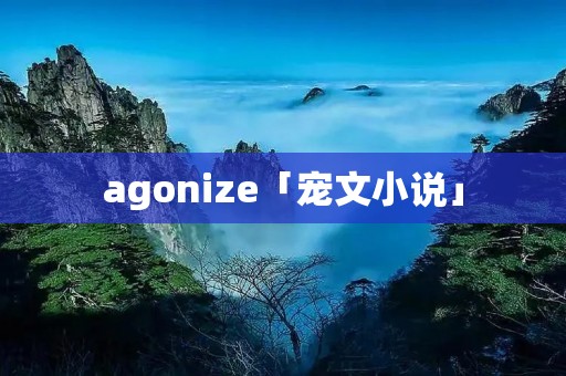 agonize「宠文小说」
