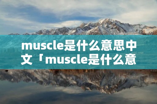 muscle是什么意思中文「muscle是什么意思译」