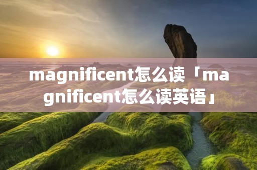 magnificent怎么读「magnificent怎么读英语」