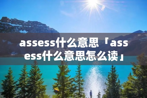 assess什么意思「assess什么意思怎么读」