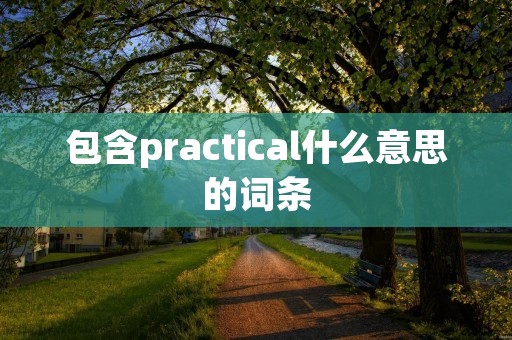 包含practical什么意思的词条