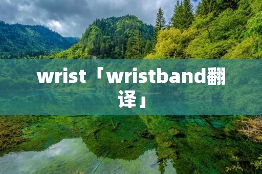 wrist「wristband翻译」