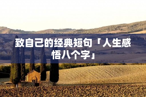 致自己的经典短句「人生感悟八个字」