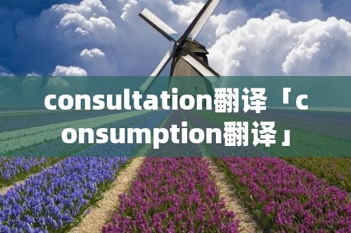 consultation翻译「consumption翻译」