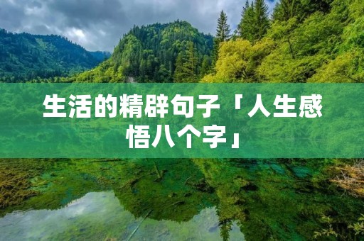 生活的精辟句子「人生感悟八个字」