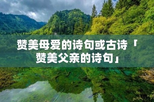 赞美母爱的诗句或古诗「赞美父亲的诗句」