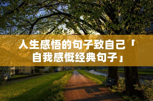 人生感悟的句子致自己「自我感慨经典句子」