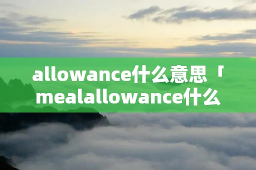 allowance什么意思「mealallowance什么意思」