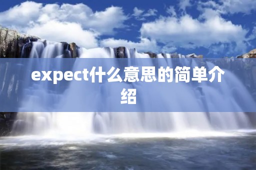 expect什么意思的简单介绍