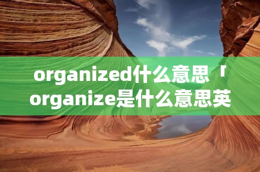 organized什么意思「organize是什么意思英语翻译」 organized什么意思「organize是什么意思英语翻译」