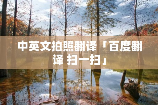 中英文拍照翻译「百度翻译 扫一扫」