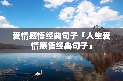 爱情感悟经典句子「人生爱情感悟经典句子」