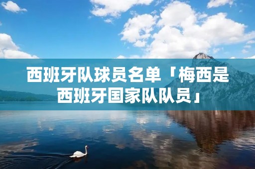 西班牙队球员名单「梅西是西班牙国家队队员」