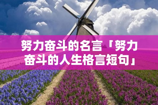 努力奋斗的名言「努力奋斗的人生格言短句」