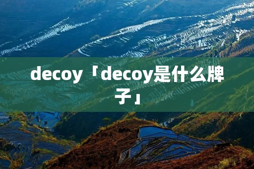 decoy「decoy是什么牌子」