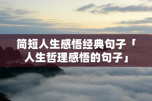 简短人生感悟经典句子「人生哲理感悟的句子」