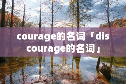 courage的名词「discourage的名词」