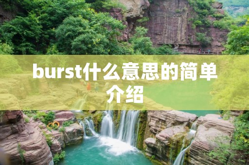 burst什么意思的简单介绍
