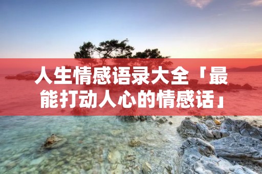 人生情感语录大全「最能打动人心的情感话」