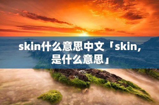 skin什么意思中文「skin,是什么意思」
