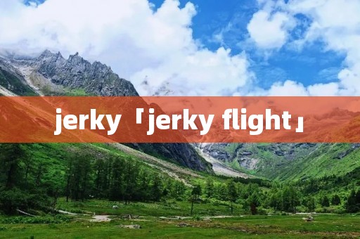 jerky「jerky flight」 jerky「jerky flight」