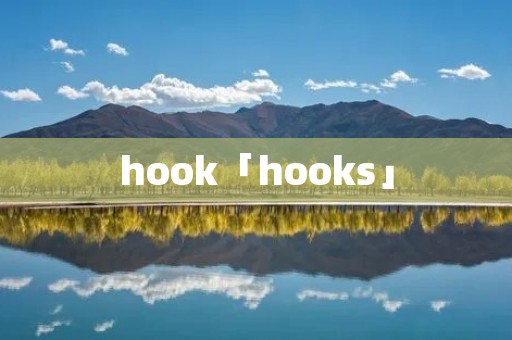 hook「hooks」
