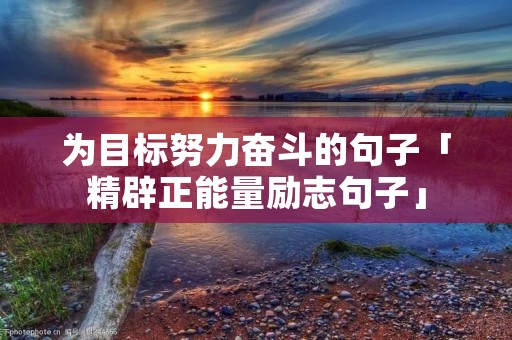 为目标努力奋斗的句子「精辟正能量励志句子」