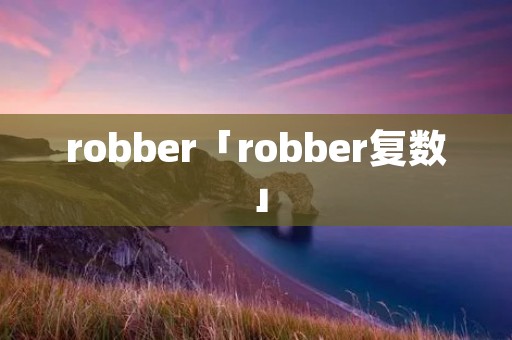 robber「robber复数」