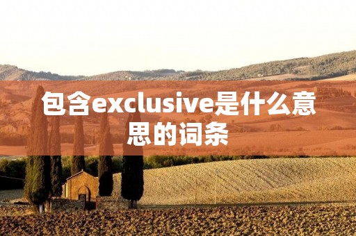 包含exclusive是什么意思的词条