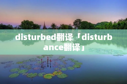 disturbed翻译「disturbance翻译」