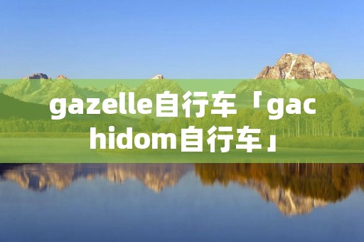 gazelle自行车「gachidom自行车」