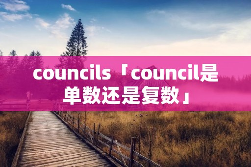 councils「council是单数还是复数」