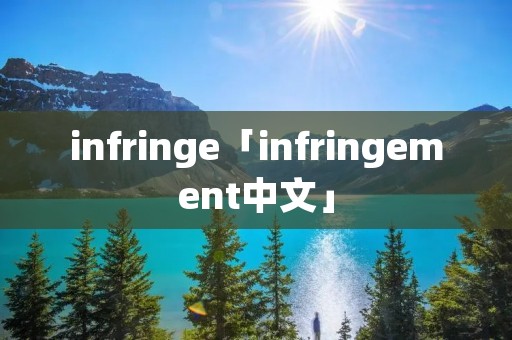 infringe「infringement中文」