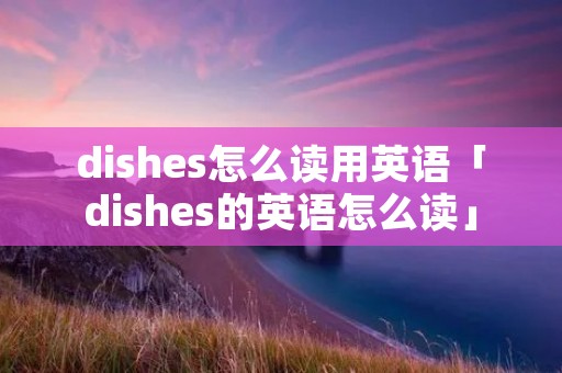 dishes怎么读用英语「dishes的英语怎么读」